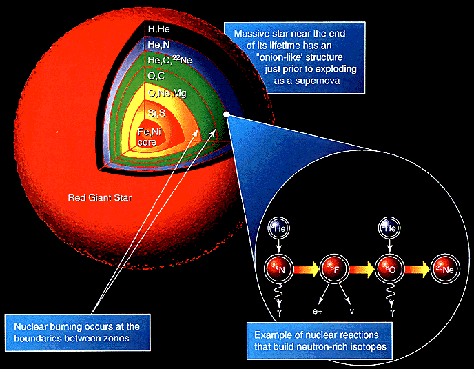 <span style="font-size:16px;position:relative;top:-50px">[Uber nemo via Wikimedia Commons](https://en.wikipedia.org/wiki/Stellar_nucleosynthesis)</span>